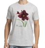 Liliowiec Black Emanuelle — koszulka klasyczna